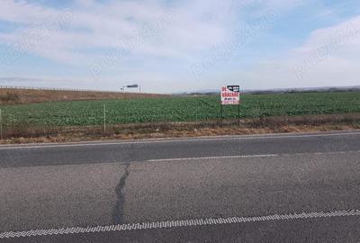 Vindem teren intravilan Biharia - 2