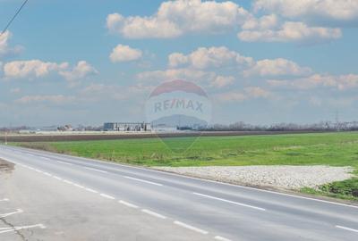 Teren Construcții intravilan de 10000 mp, în Periferie - 3