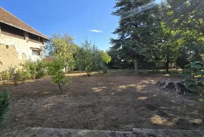 Casă cu 3 camere cu Teren 549 Mp în Cenad - 8