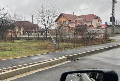 Spațiu comercial, în Paleu - 8