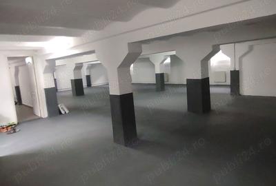 Casă cu 4 camere în Aradul Nou - 4