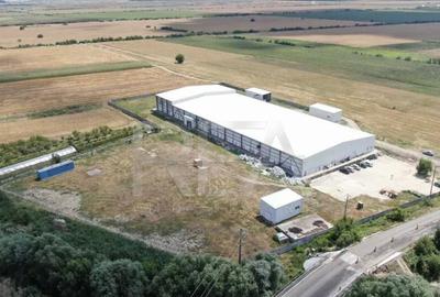 Hala temperatura controlata | Depozitare/Productie | Vidra\C - 6