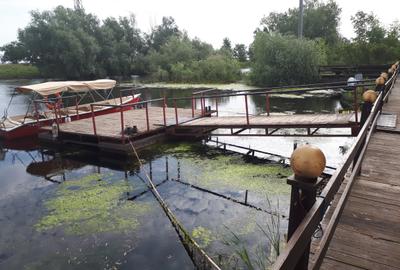 Pensiune în Crișan - Afacere turistică complet funcțională în Delta Dunării - 3