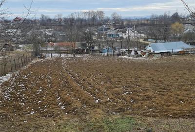 Teren de 2650 mp, în Trifești - 3