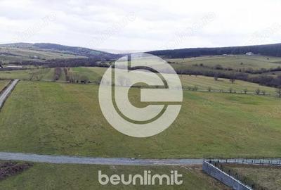 Teren intravilan in Tocile - 4354 m2 - 2 fronturi - oferta competitiva - 4