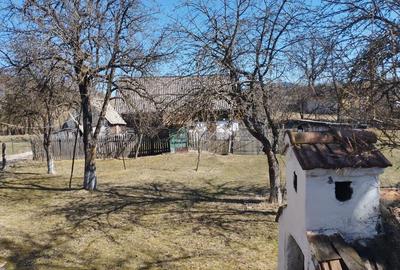 Casă cu Teren 2414 Mp în Voșlăbeni - 4