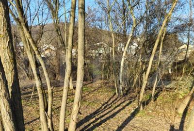 Teren intravilan 738 mp, zona Viforata, Comision 0 - 3