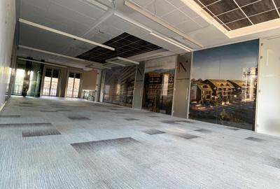 Vanzare Vila Exclusivista Aviatorilor - 18