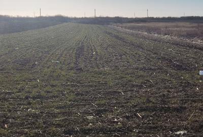 Teren Construcții intravilan de 830 mp, în Mogoșești - 3