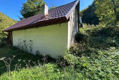 Casă cu 1 camere cu Teren 358 Mp în Valea Mănăstirii - 3