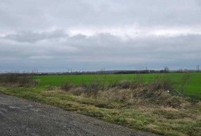 Teren de 5000 mp, în Golești - 3