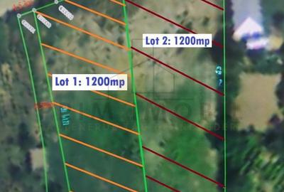 Teren de 1200 mp, în Tomești - 4