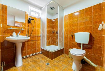 Casa + Pensiune deosebita - Orlat, Sibiu - 42