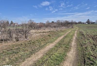 Teren de 1663 mp, în Ulmi - 19