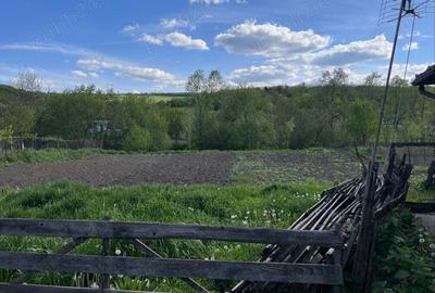 Vand casa in Luna de Jos - 6