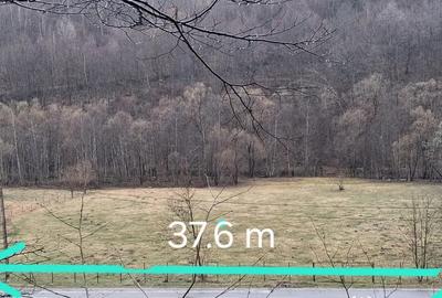 Teren de 5919 mp, în Vale - 4