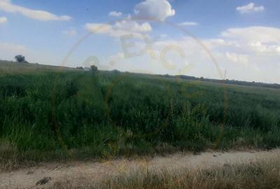 Teren de 8514 mp, în Ștefănești