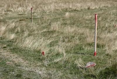 Teren Construcții intravilan de 1500 mp, în Păltiniș - 3