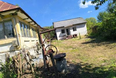 Gospodarie in Jud. Valcea, com. Pe?ceana, sat Ursoaia, 2 case ?i anexe Gospodarie in Jud. Valcea, com. Pe?ceana, sat Ursoaia, 2 case ?i anexe - 1