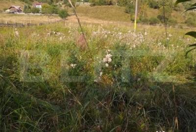 Teren de 7500 mp, în Central