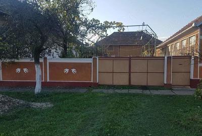 Casă cu 3 camere cu Teren 1500 Mp în Fibiș - 3