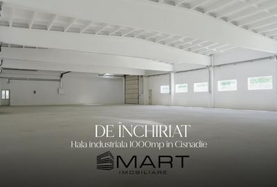 Hala industriala acces TIR, 1000mp Cisnadie - 1