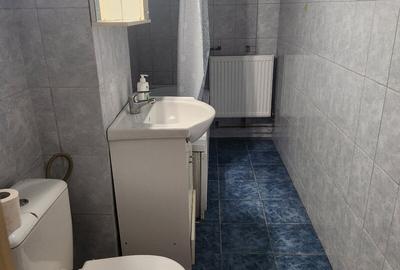 Lacul Tei, Maica Domnului vav Parc Tei - 11