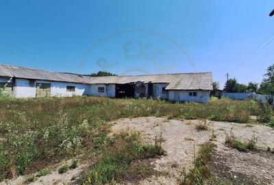 Proprietate industriala de vanzare – Hartiesti, jud. Arges - 6