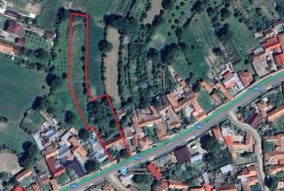 Casa batraneasca in Casin, 3200 mp - 1