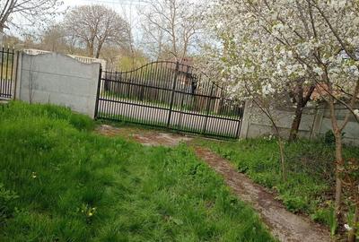 Casă cu 4 camere în Merișani - 6