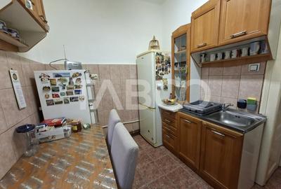 Apartament spatios de vanzare cu 3 camere la etajul 1 in Orasul de Jos - 13