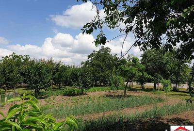 Casa cu gradina in Cauas zona Tasnad - 2