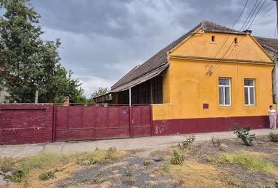 Casă cu 5 camere cu Teren 1870 Mp în Lenauheim - 8