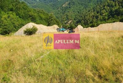 Teren Construcții intravilan de 744 mp, în Periferie - 9