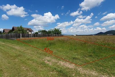 Rasnov -Glejarie 1000 mp front 42m posibilitate duplex sau 2 constructii - 3