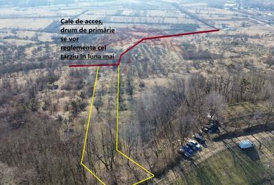 Teren de vanzare extravilan Ocolis