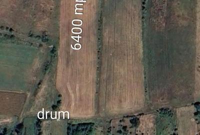 Spațiu comercial, în Fodora - 1