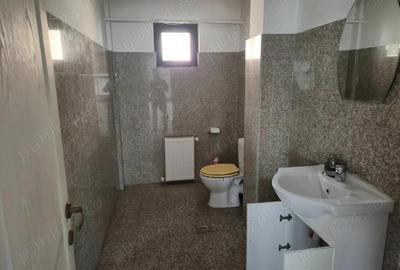 Spa?iu comercial birouri de inchiriat 200 mp, Str. Vasile Lupu 55 - 4