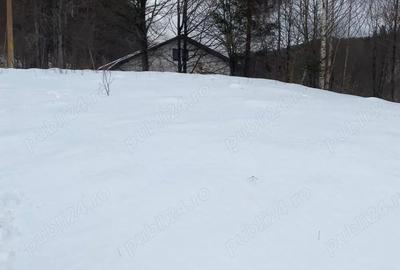Teren de 800 mp, în Cheia - 5