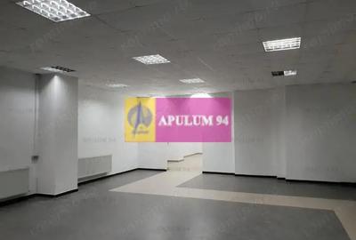 Locul Potrivit pentru afacerea ta - Otopeni- Calea Bucure?ti - 14