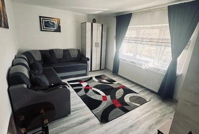 Apartament cu 2 camere decomandat, mobilat în Noua