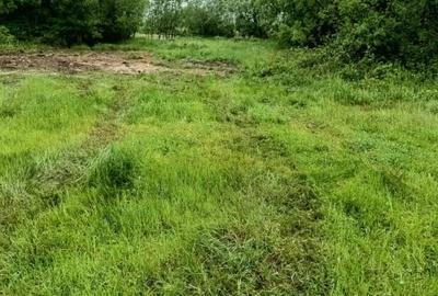 Teren de vanzare intravilan Com Fardea Jud Timis - Langa lacul Surduc - 5