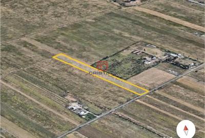 Teren de 17900 mp, în Măgurele - 2