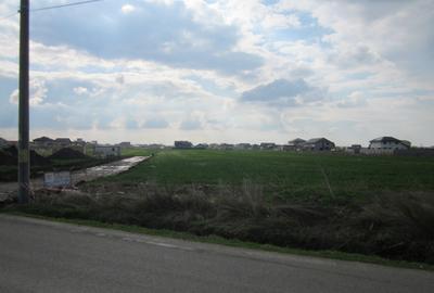 Teren Construcții intravilan de 2314 mp, în Domnești - 15