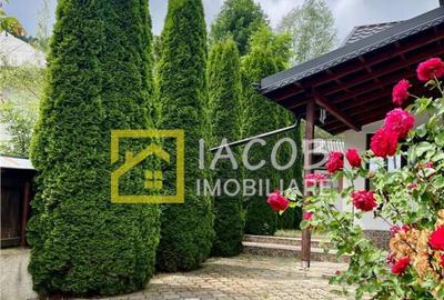 Casa la munte, comuna Bicazu Ardelean, jud. Neamt Casa la munte, comuna Bicazu Ardelean, jud. Neamt - 2