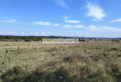 Teren intravilan investitie turism balnear fonduri europene - 4