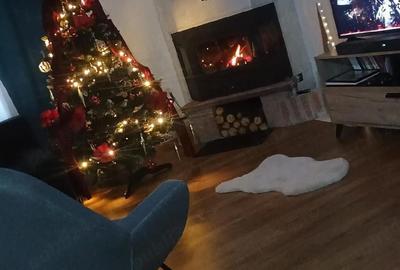 Casă cu Teren 300 Mp în Lumina - 2