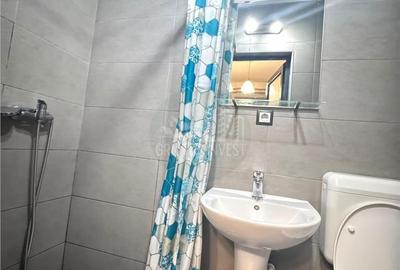 Garsonieră, mobilată în Vasile Aaron