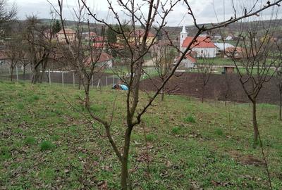 Teren de 3000 mp, în Călărași - 2