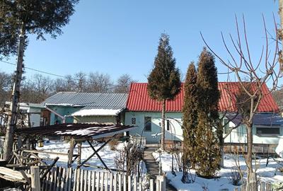 Vand casa in Tichindeal - 4